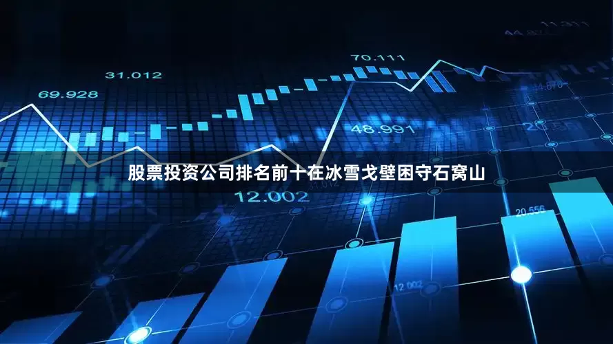 股票投资公司排名前十在冰雪戈壁困守石窝山